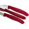Набор кухонных ножей Victorinox 6.7111.31, 3 предмета